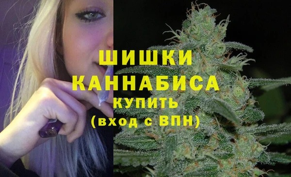 гашик Белокуриха