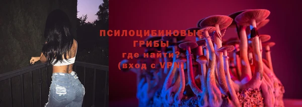 гашик Белокуриха