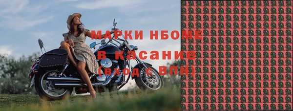гашик Белокуриха