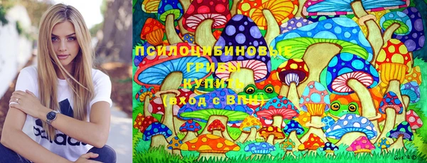 гашик Белокуриха