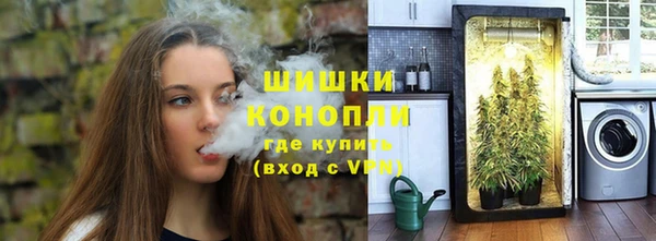 гашик Белокуриха