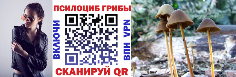 купить наркотики цена  Усмань  Псилоцибиновые грибы MAGIC MUSHROOMS 
